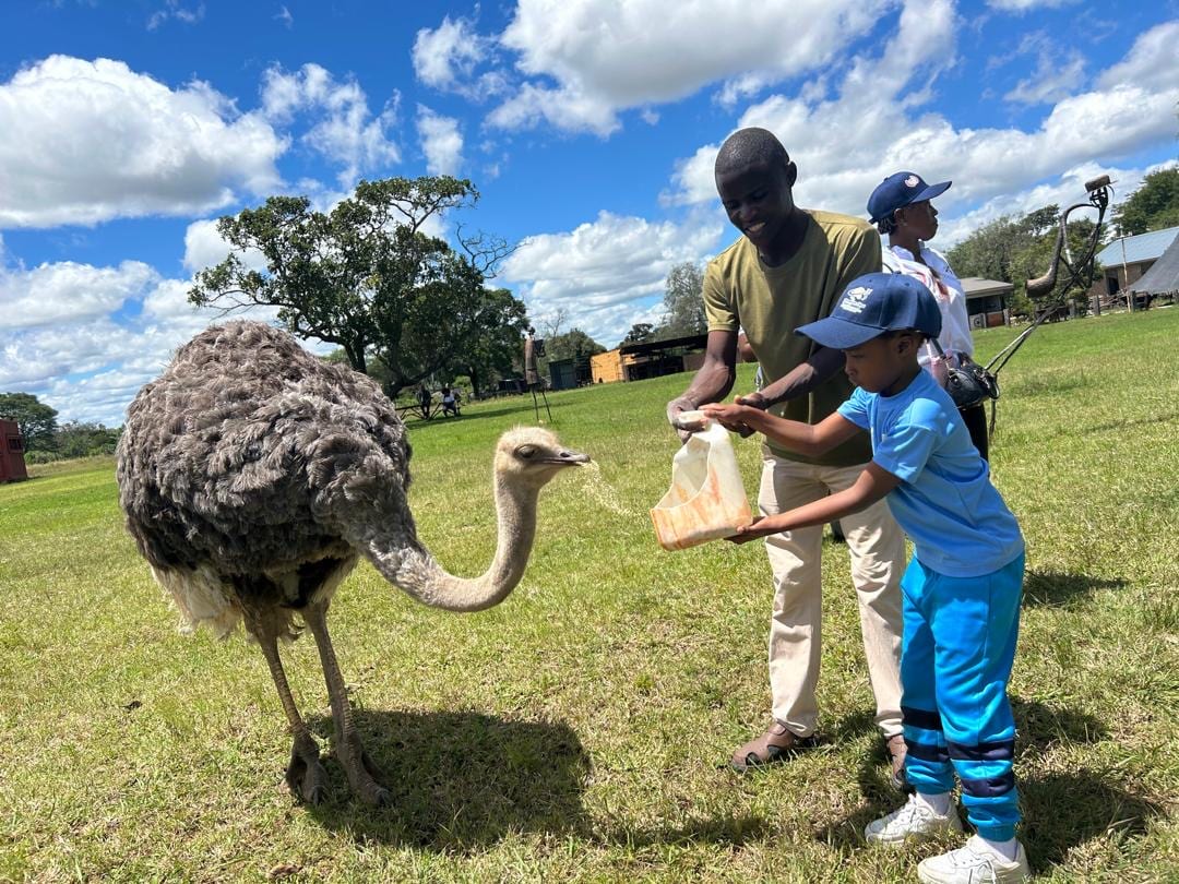 Pupil learning through a hands-on wildlife excursion