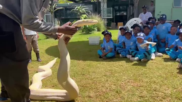 CarlTanS pupils at the Snake Park, watch the featured video