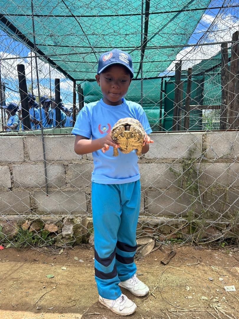 A CarlTanS pupil gently holding a tortoise during a nature excursion
