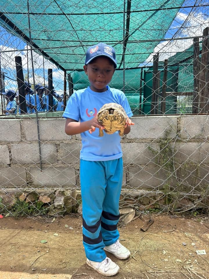 CarlTanS pupil holding a tortoise